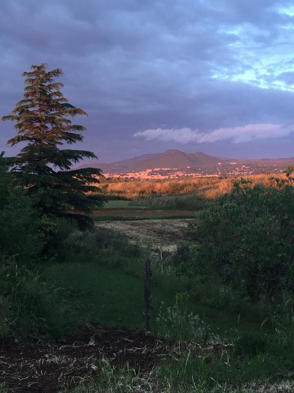 Гостьовий будинок Le Antiche Terme Вітербо Екстер'єр фото
